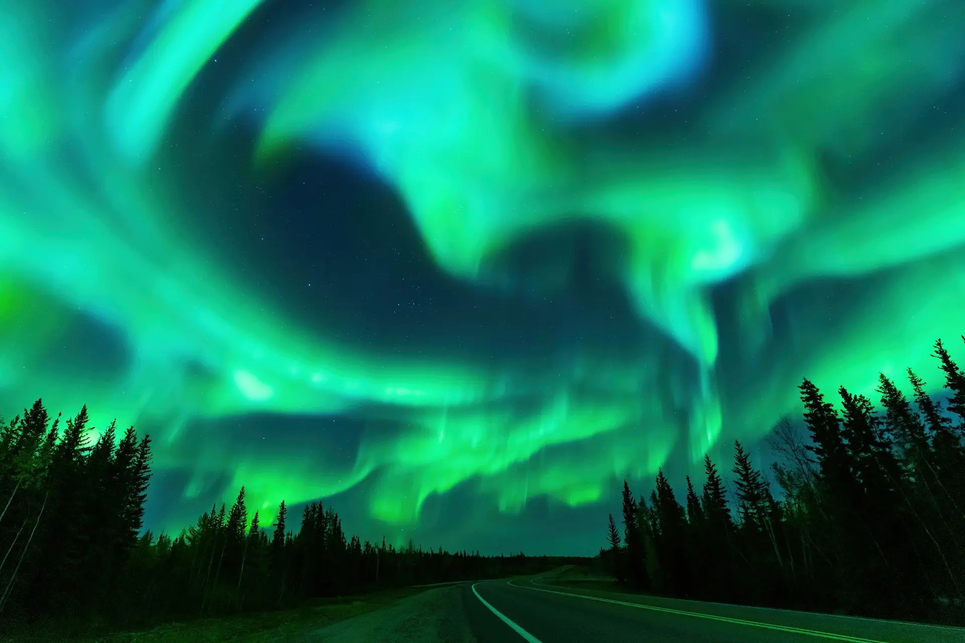 Aurora borealis dancing over snowy landscape in Yukon Territory