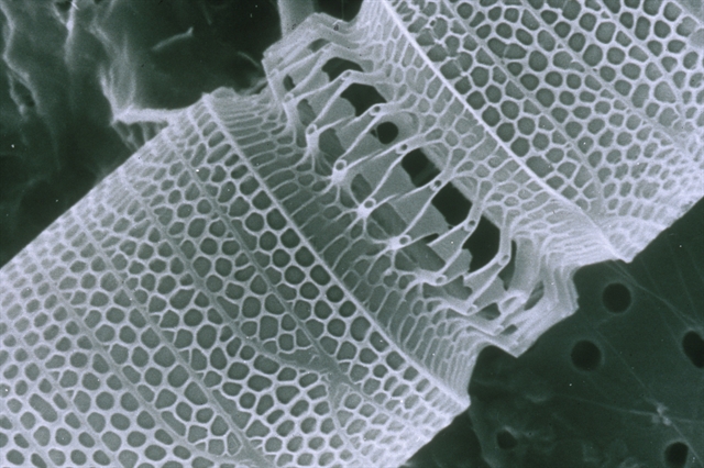 Conceptual visualization of programmable matter changing shapes and forms